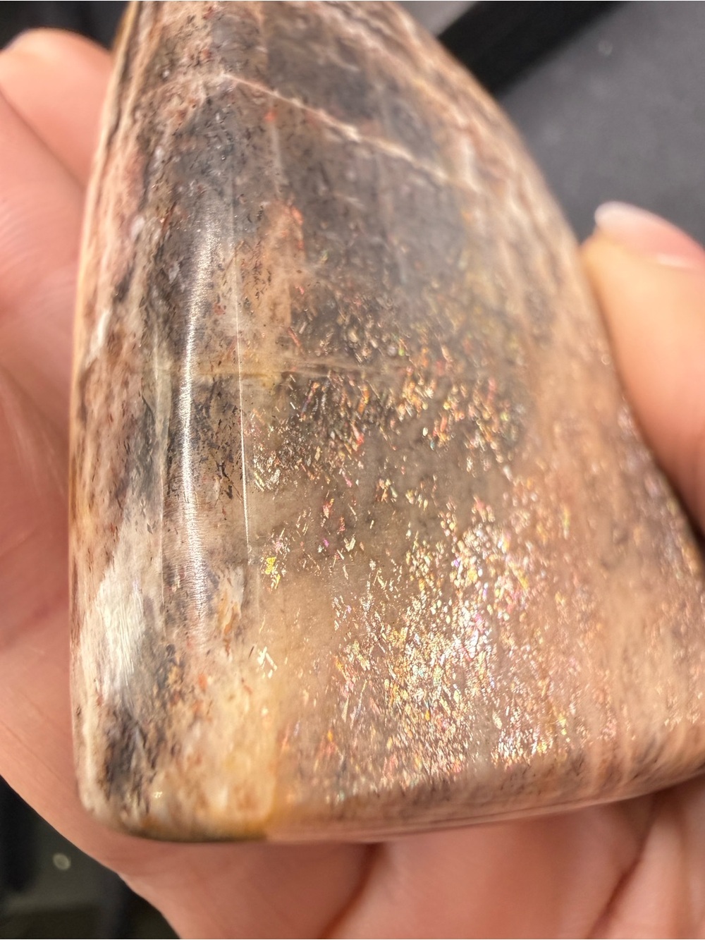 Rare 117g Black Moonstone with Rainbow Lattice Sunstone Freeform